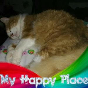 Meet your Posher, Abby